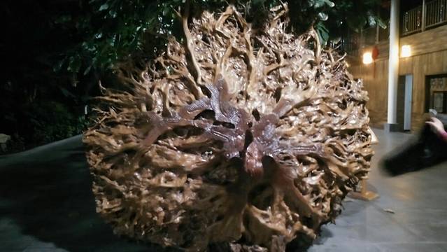 龙达雨林餐饮中心