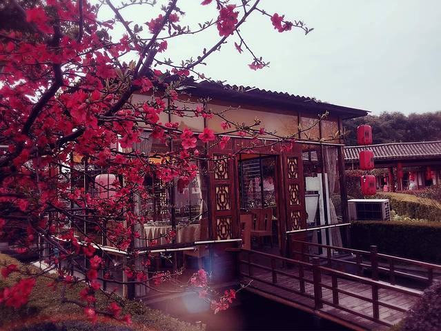 醉香隆(东湖店)