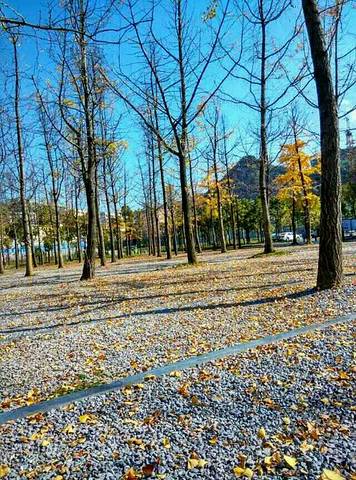 明湖国家湿地公园