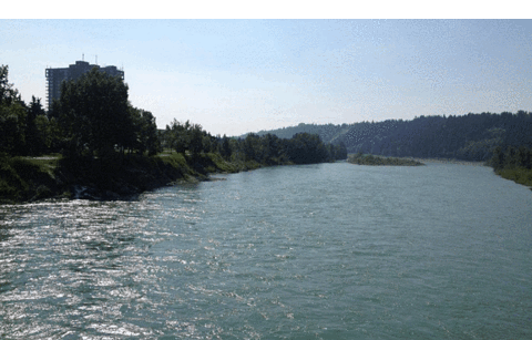 Edworthy Park & Douglas Fir Trail