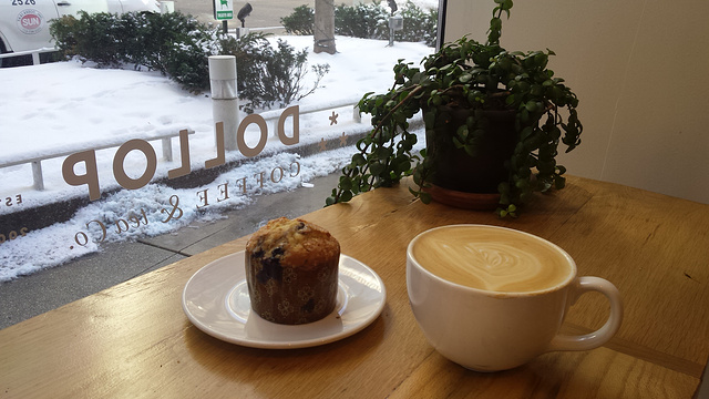 Dollop Coffee Co Streeterville旅游景点图片