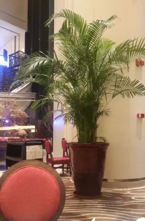 中庚喜来登酒店·盛宴标帜餐厅