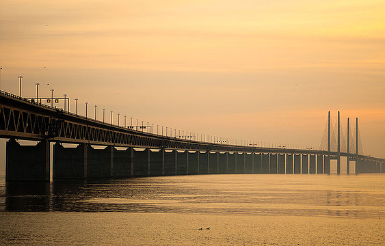 厄勒海峡大桥旅游景点图片