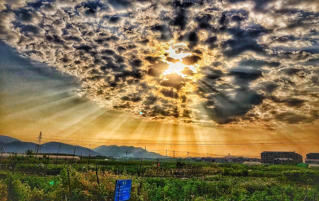 掌起健康主题公园