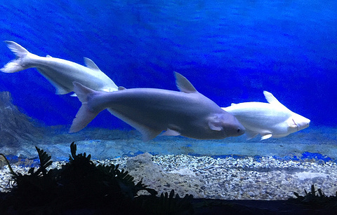 宁波海洋世界