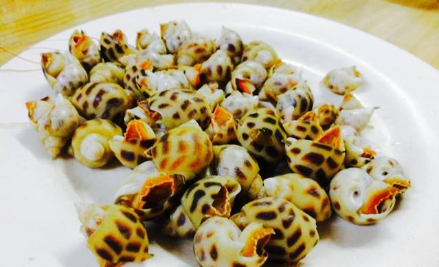 南燕湾渔家码头