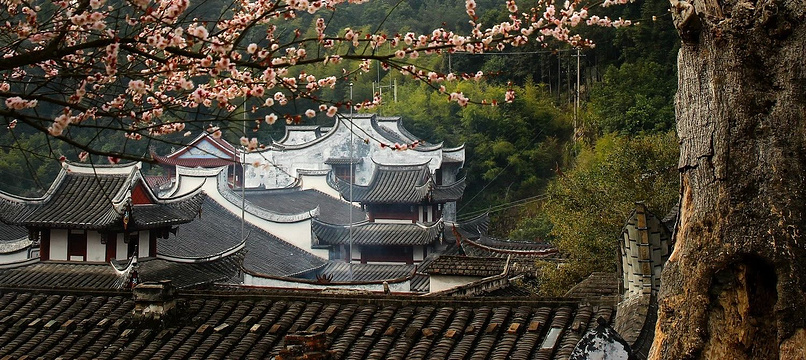 林阳禅寺旅游景点图片