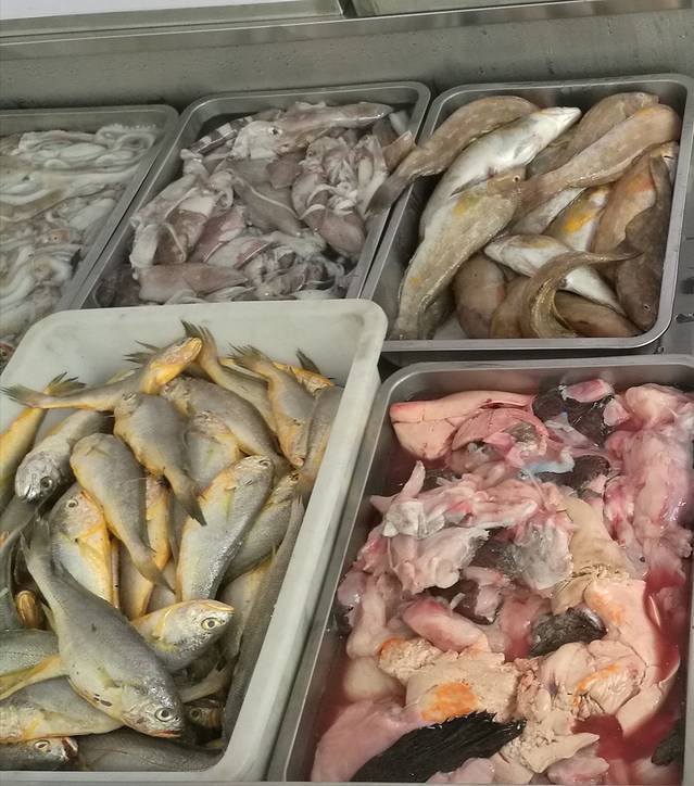 张家台滨海渔家