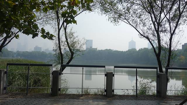 天津大学(卫津路校区青年湖)