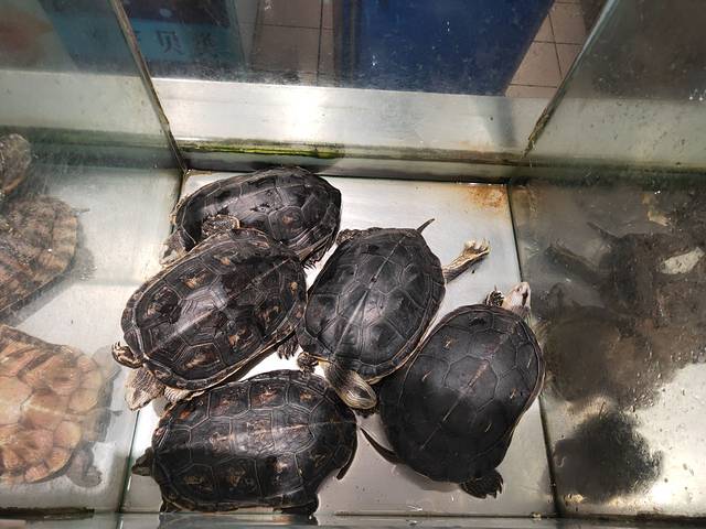 大润发(长安店)