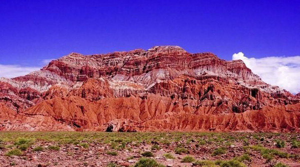 卡拉麦里有蹄类保护区