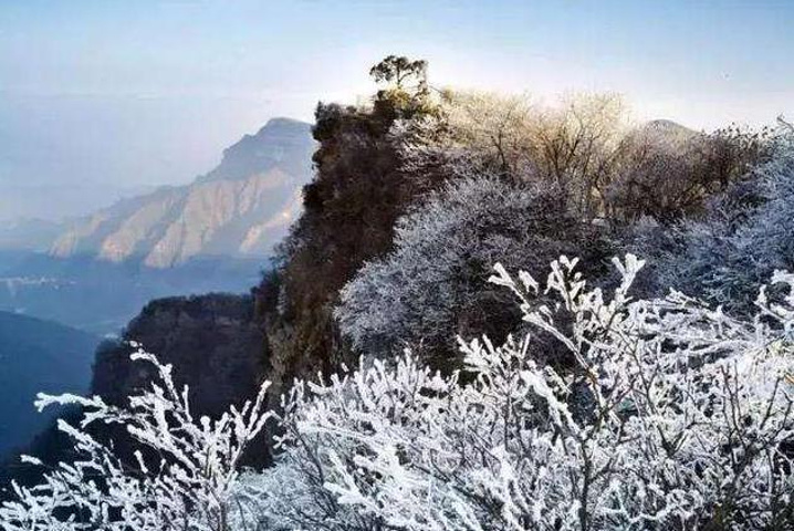 "...雪景漂亮之极，尤其是在寒潮袭击后的光雾山银装素裹，大地白雪皑皑，此时到这里就好像进入了童话世界_光雾山旅游景区"的评论图片