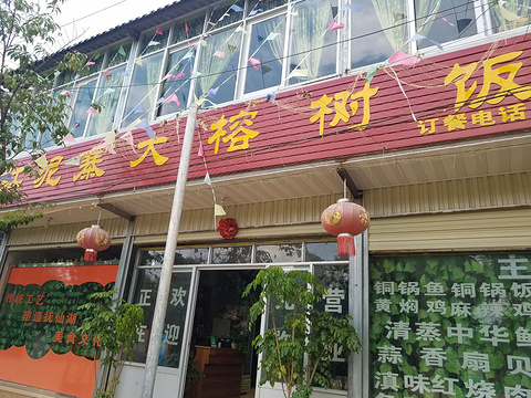 大榕树饭店