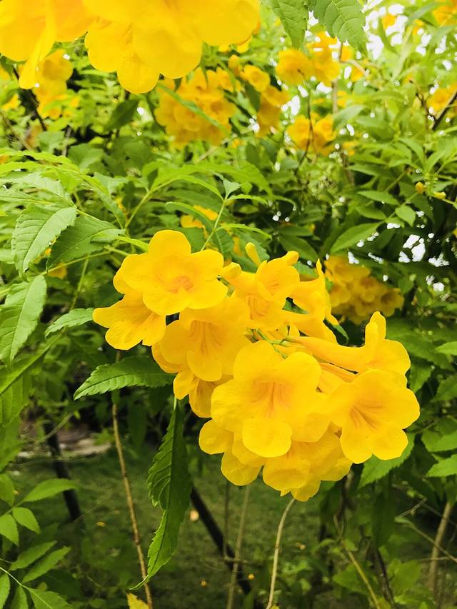 海南清水湾乌兰度假酒店·缤纷全日西餐厅