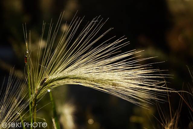 中国二界沟旅游景区