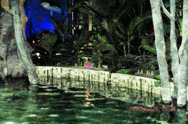 赤城温泉(汤泉路店)