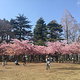 Rinshinomori Park