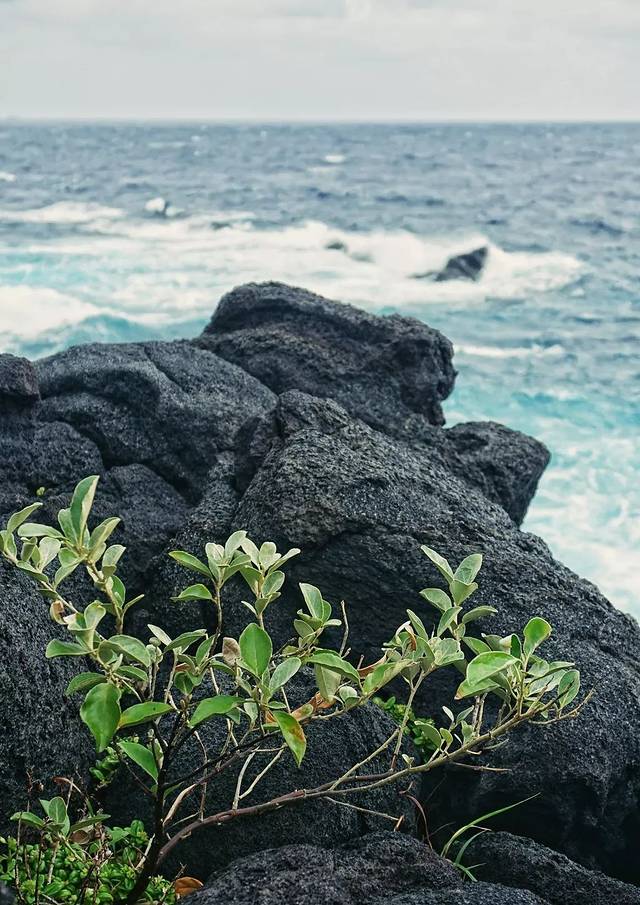 汤浜遗迹 仓轮遗迹