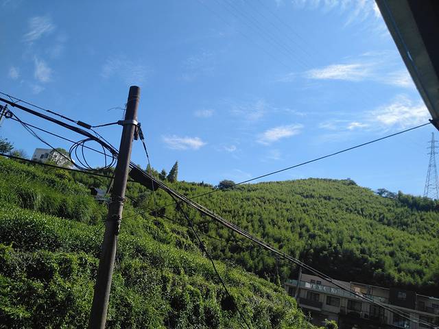 德清县莫干山镇石颐茶场