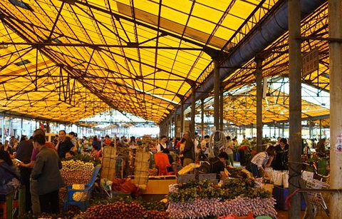 岭南花卉市场的图片