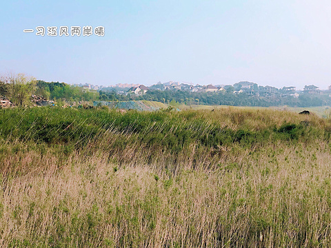 金海湾公园(滨江文化区)