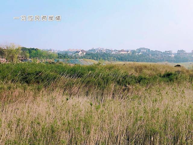 金海湾滨江公园