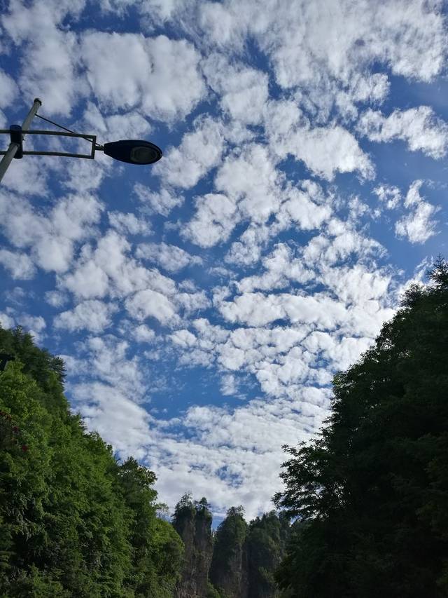 红坪特色农家(画廊路分店)