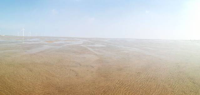 东营红滩湿地旅游区