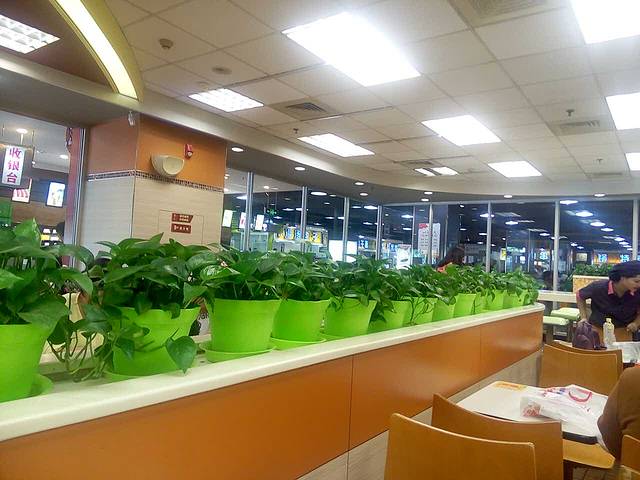 肯德基(新乡健康路店)