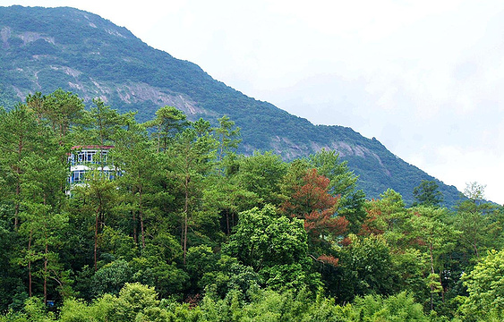黄龙湖森林公园旅游景点图片