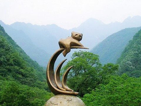 阴条岭国家级自然保护区