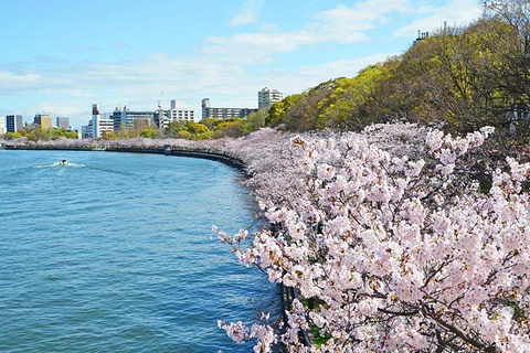毛马樱之宫公园