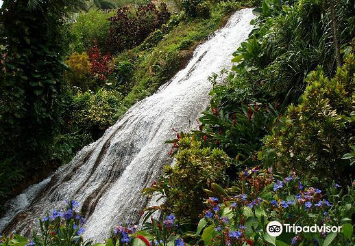 Shaw Park Gardens & Waterfalls旅游景点图片