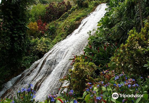 Shaw Park Gardens & Waterfalls的图片