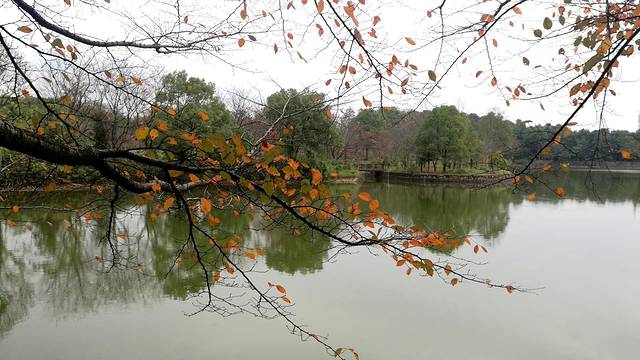 江西省林业科学院
