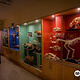 TCD Zoological Museum