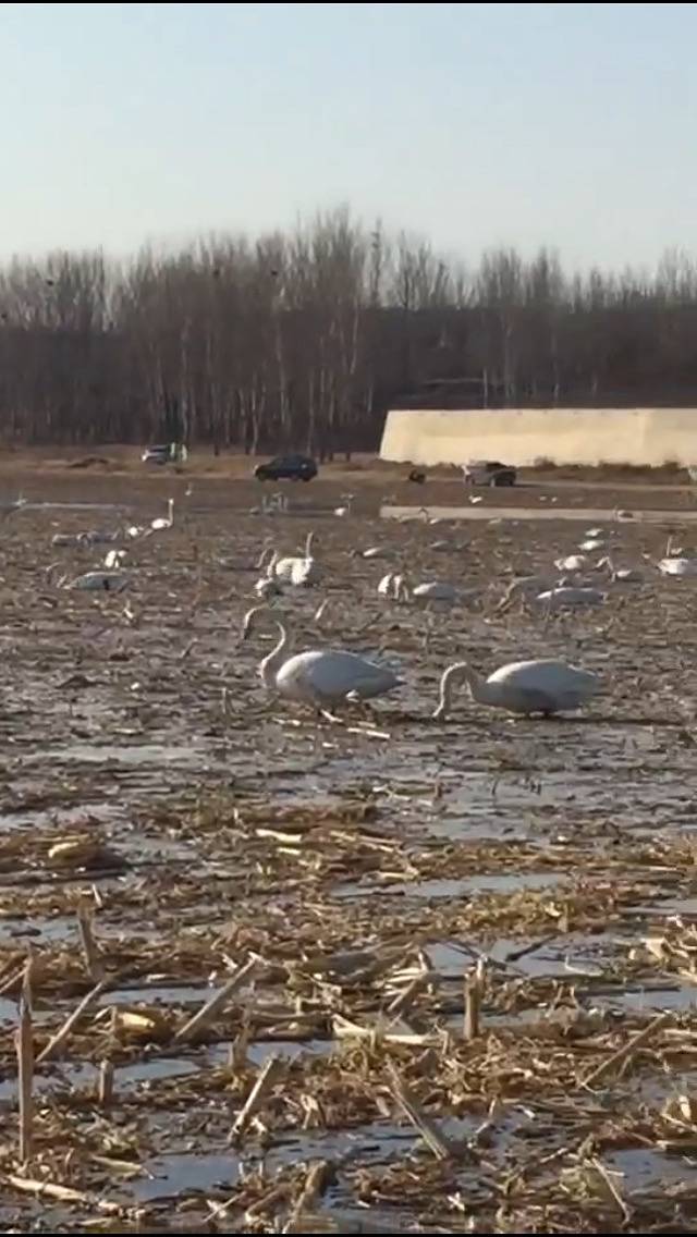 白石水库风景区