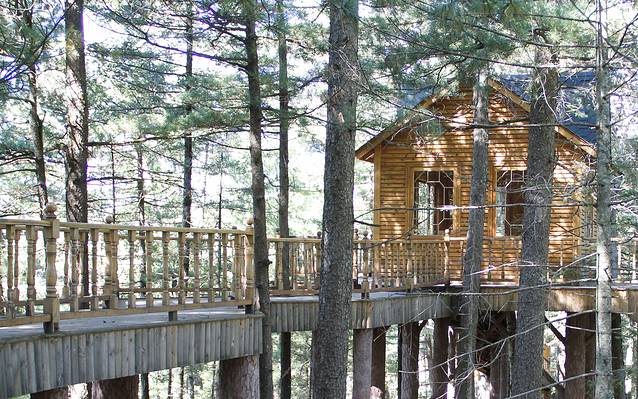 大亮子河国家森林公园