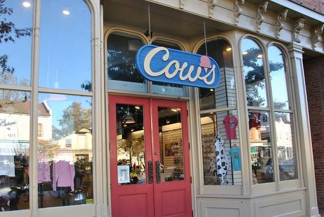 Cows Niagara-on-the-Lake