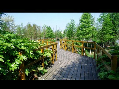 大白荡城市生态公园旅游景点图片