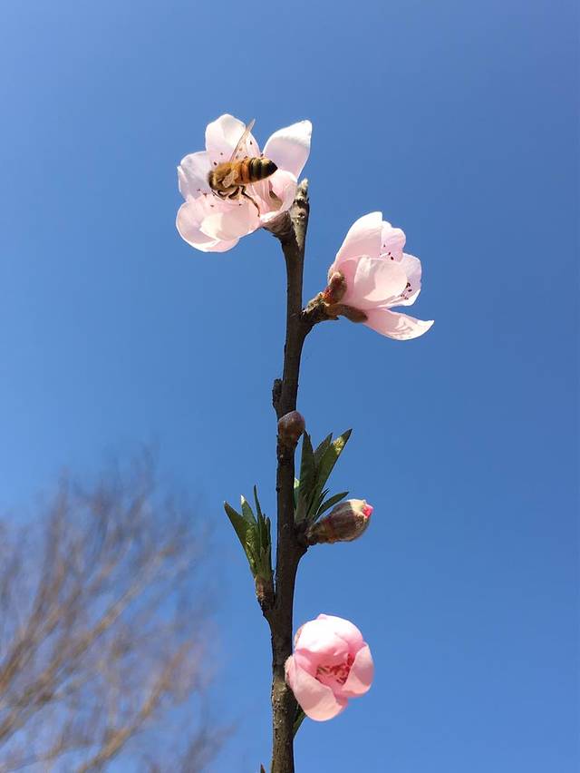 肯德基(衢江东方店)