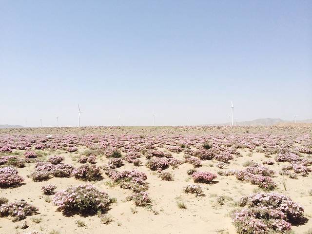东南大学成贤学院