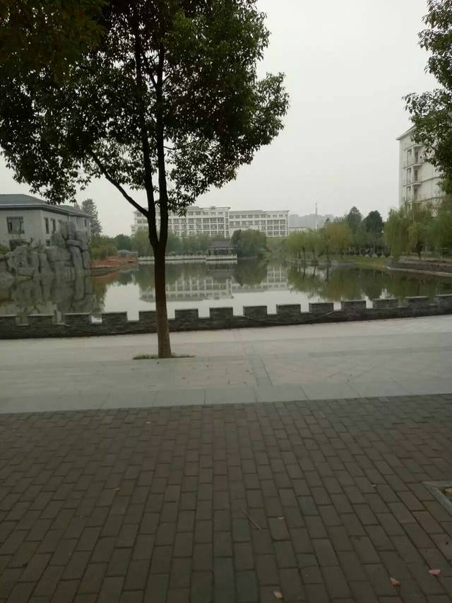 合肥财经职业学院