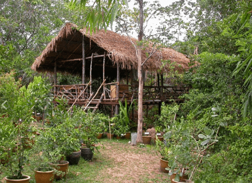 Herbwalk in Langkawi旅游景点图片