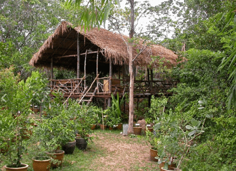 Herbwalk in Langkawi