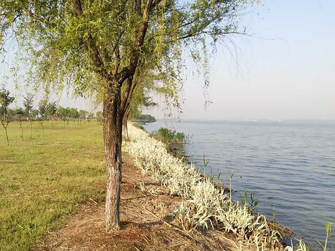 漕湖湿地公园旅游景点图片