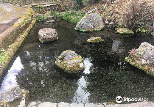 妙见神社之池旅游景点图片