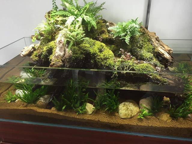 COSTA COFFEE(外滩店)