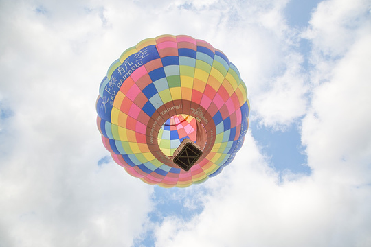 鹿野高台飛行傘活動旅游景点图片