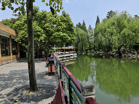 沪太公园旅游景点图片